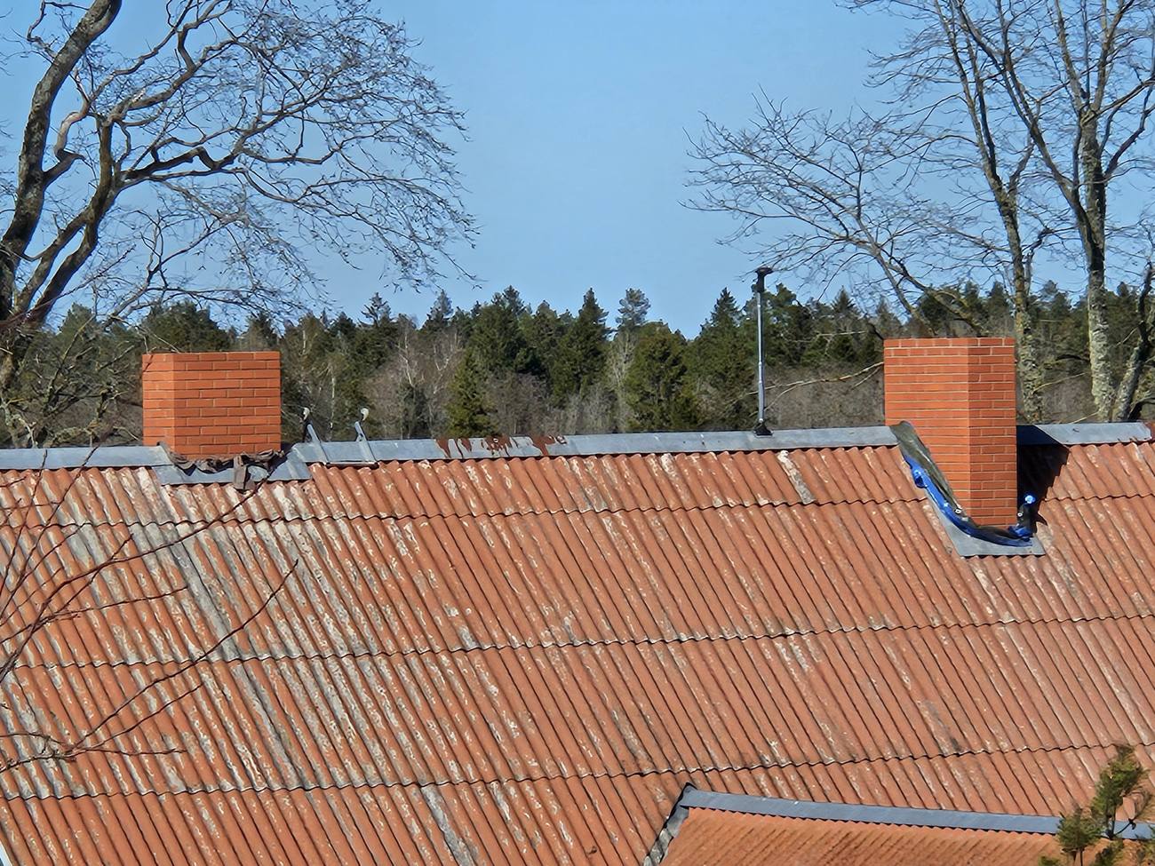 Kaks punastest tellistest korstnat lainekatusel